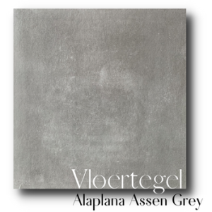 Vloertegel 60×60 cm betonlook Alaplana Assen Grey van RB Tegels